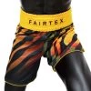 BT2002 Fairtex Muay Thai Shorts - Tiger