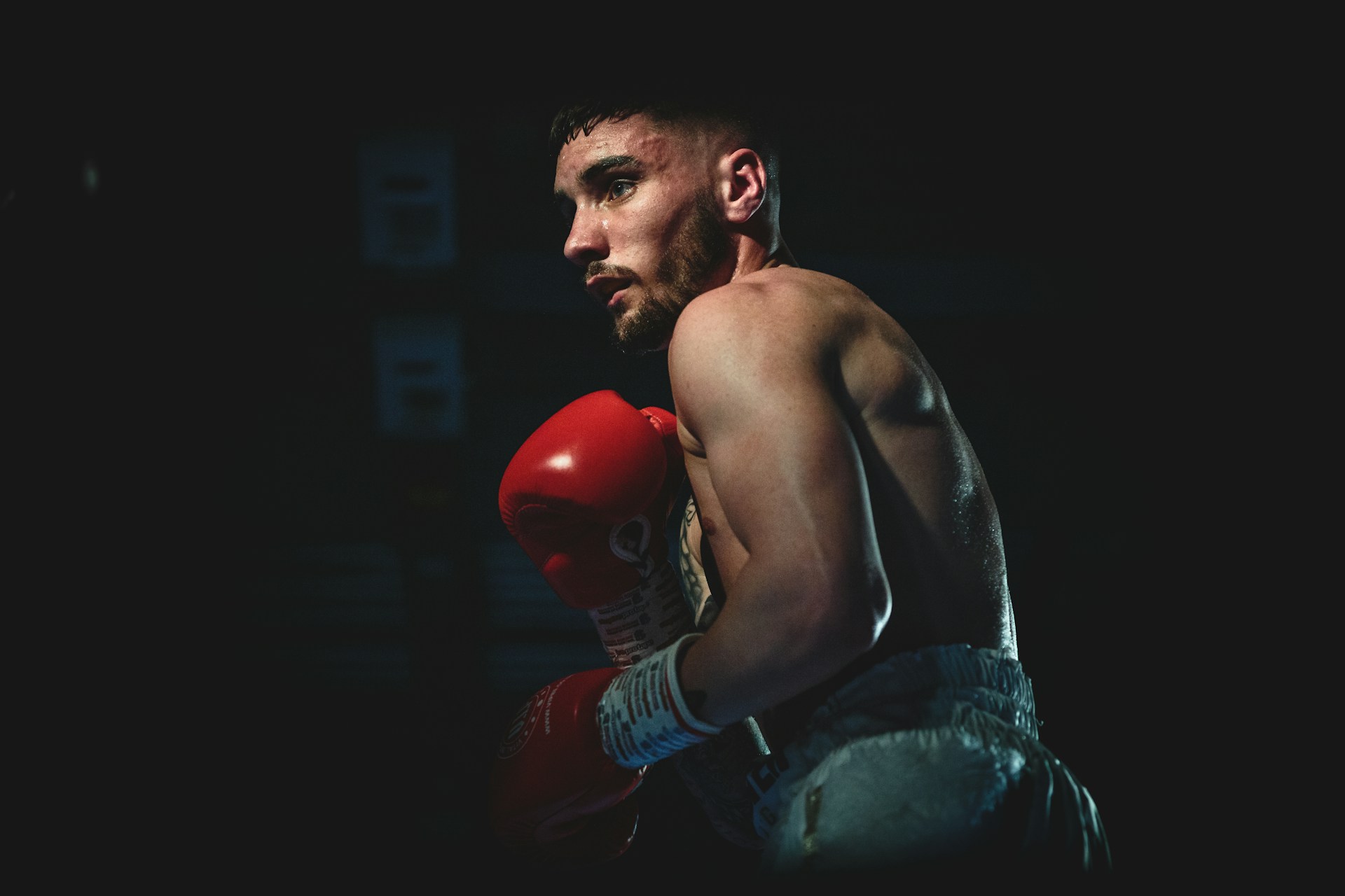 Boxing Shop -Boxing Shop chris kendall sJ6az6 T1u8 unsplash