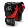 Cleto Reyes High Precision Training Gloves – Black/Red