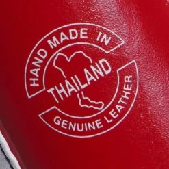 Fairtex Boxing Gloves - BGV1 Thai Pride -Boxing Shop fairtex boxing gloves bgv1 thai pride 871987