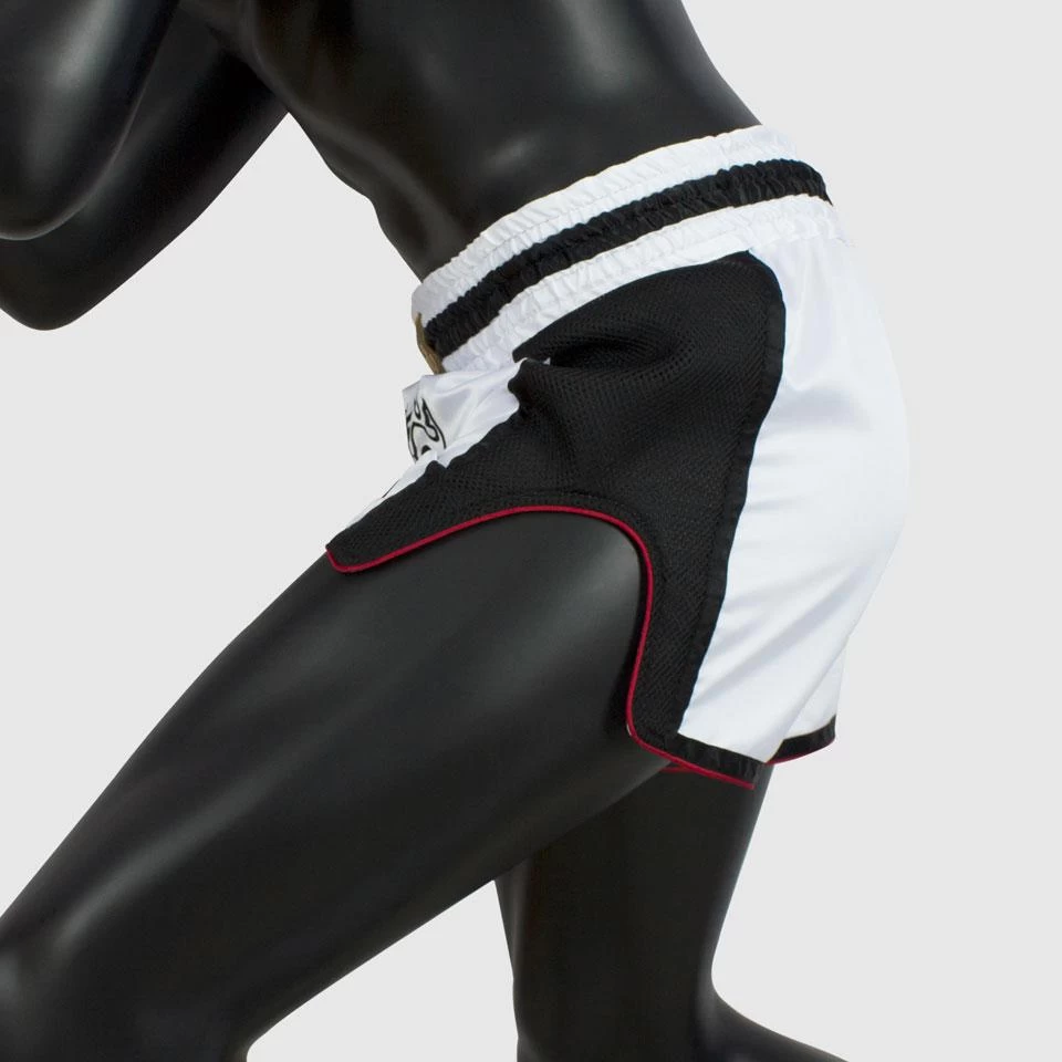 Fairtex BS1712 Slim Cut Muay Thai Shorts - Vanorn 5 Fairtex BS1712 Slim Cut Muay Thai Shorts - Vanorn - Image 5