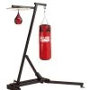 Pro Box Free Standing Punch Bag Frame Complete With Speedball Platform