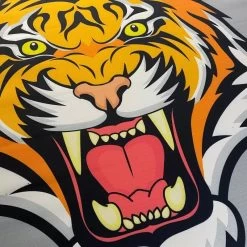 ProtecBoxing Custom Boxing Ring Canvas