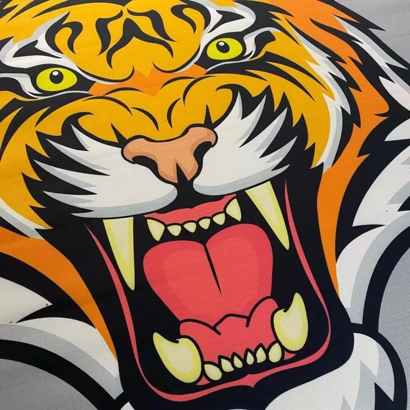 ProtecBoxing Custom Boxing Ring Canvas 1 ProtecBoxing Custom Boxing Ring Canvas